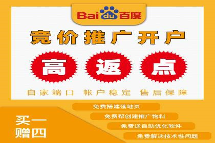 竞价推广案例：小投入大回报的成功之道